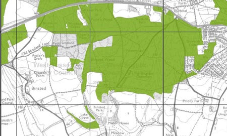 Map of Binsted Woods and surrounding areas